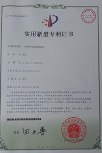 Patent