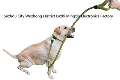 犬用リード（引き紐）と首輪（EU圏、中国で特許取得済み）